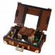 Конструктор LEGO Harry Potter 75952 Чемодан Ньюта Саламандера в Уфе