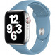 Ремешок для Apple Watch 40mm Northern Blue Sport Band (MYD02ZM/A), скандинавский синий в Уфе