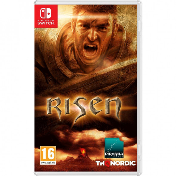 Игра Risen [Nintendo Switch, русская версия] в Уфе