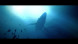 Игра Under The Waves [PS4, русские субтитры] в Уфе