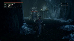 Игра Bloodborne. Хиты PlayStation [PS4]