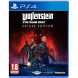 Игра Wolfenstein Youngblood Deluxe Edition [PS4, русская версия] в Уфе